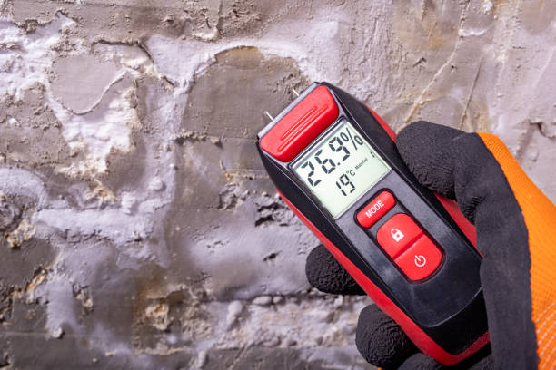 Certified Mold Removal in Audubon, PA