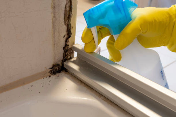 Best Crawl Space Mold Removal  in Audubon, PA