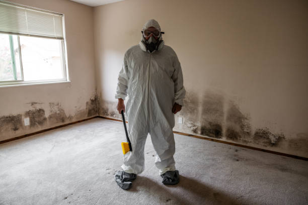 Best Certified Mold Removal  in Audubon, PA